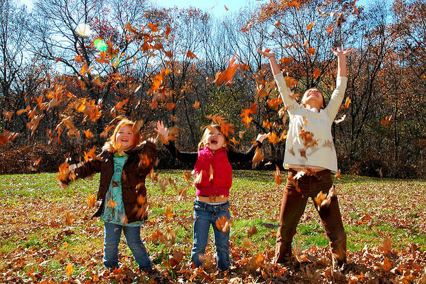 Children playing outside with leaves. Children playing outside with leaves.