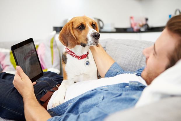 A man with his dog laying on the couch using a tablet A man with his dog laying on the couch using a tablet