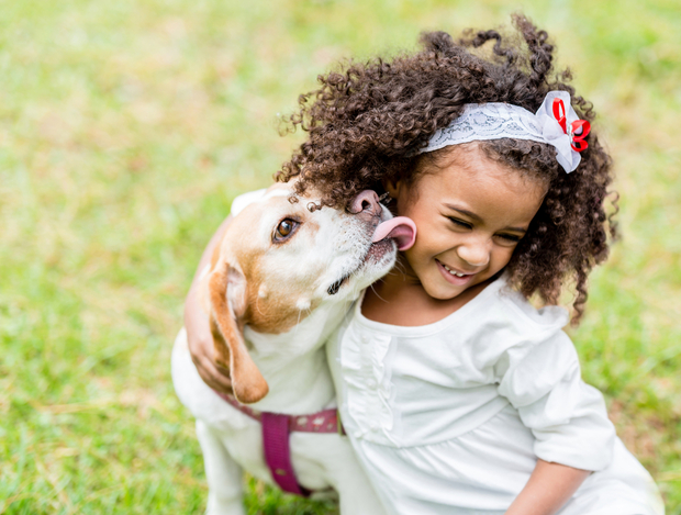 dog licking a little girl's face dog licking a little girl's face
