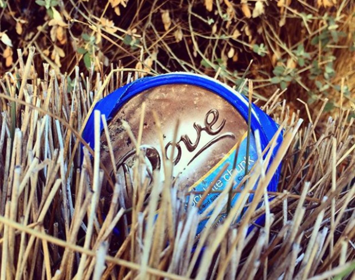 Dove litter in brush Dove litter in brush