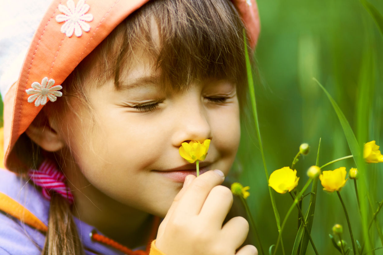 A girl smelling flowers A girl smelling flowers