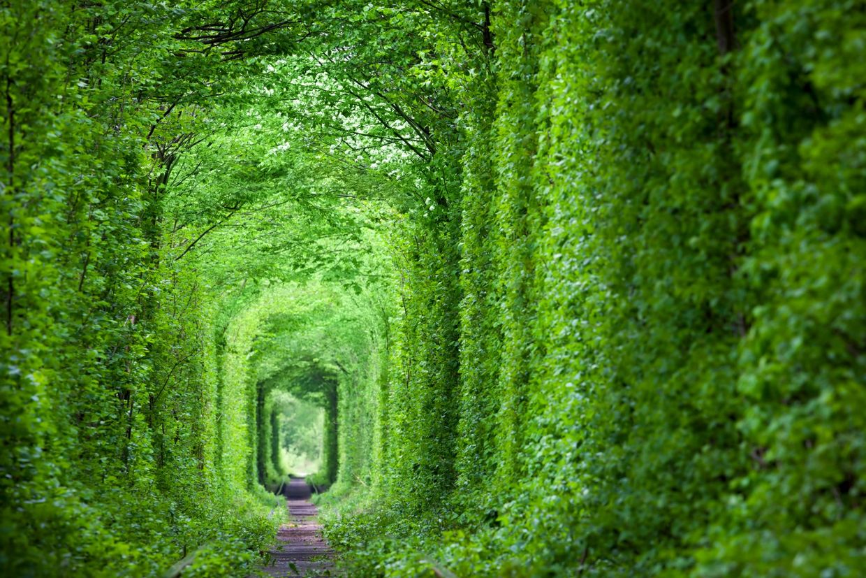 Tunnel of Love Tunnel of Love