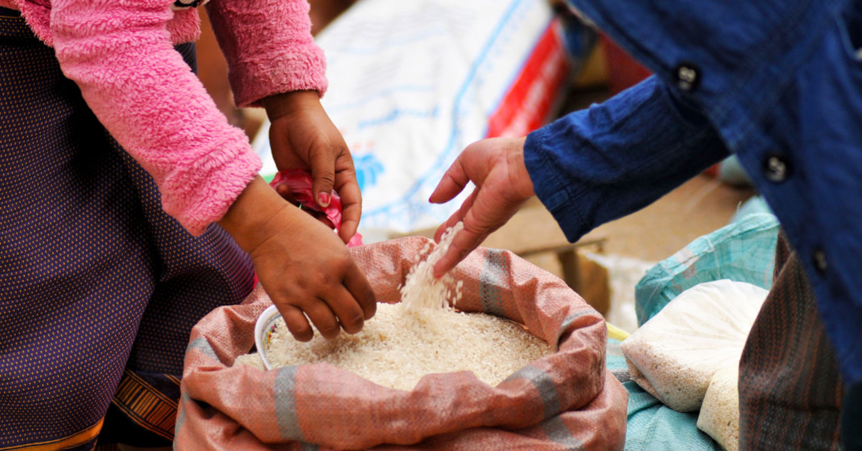 Freerice has donated over 95 billion grains to date Freerice has donated over 95 billion grains to date