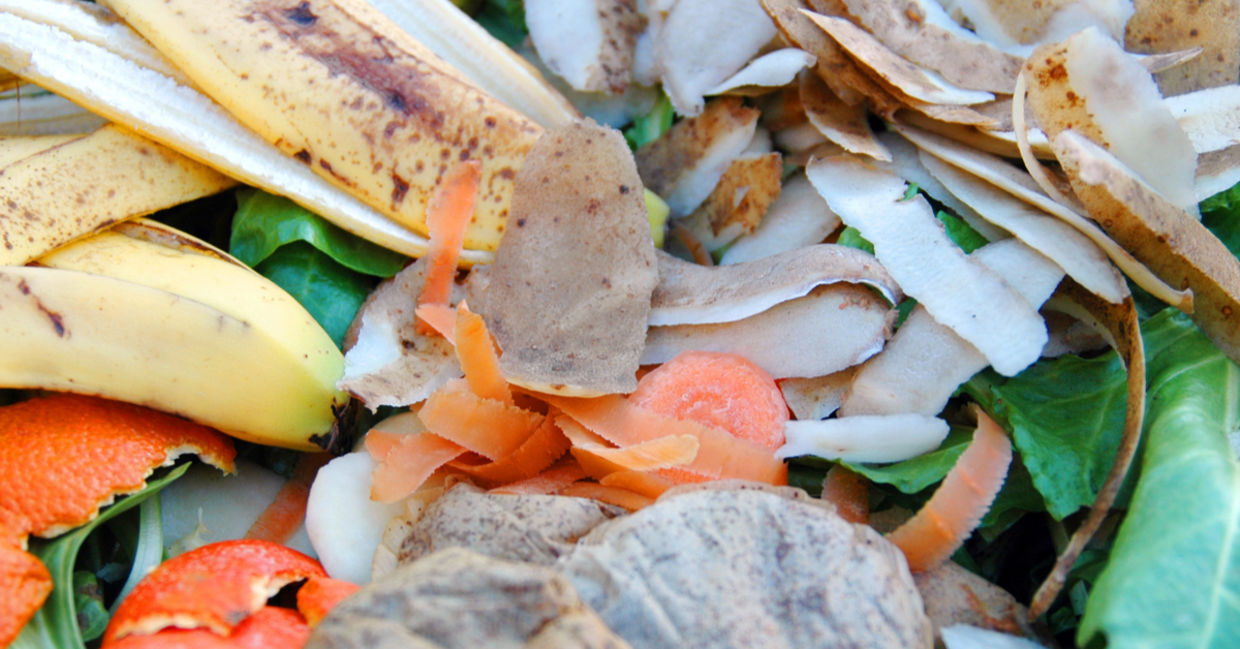 Compost is a good banana peel use Compost is a good banana peel use