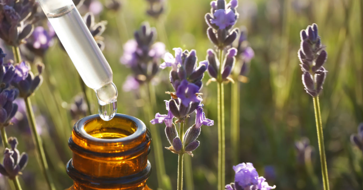 Dropper of lavender essential oil Dropper of lavender essential oil