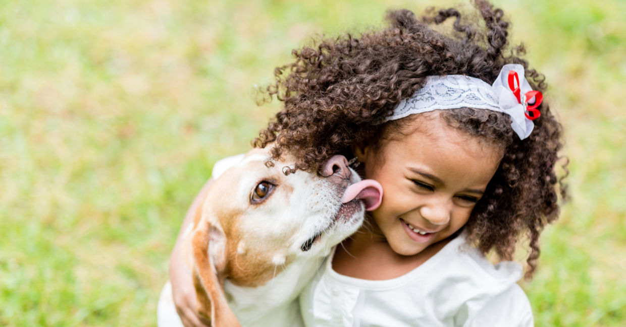 Girl being licked by her pet dog. Girl being licked by her pet dog.