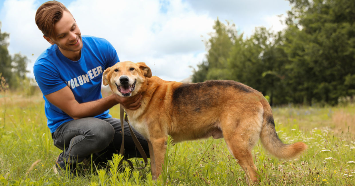 On Good Deeds Day you can walk a shelter dog. On Good Deeds Day you can walk a shelter dog.