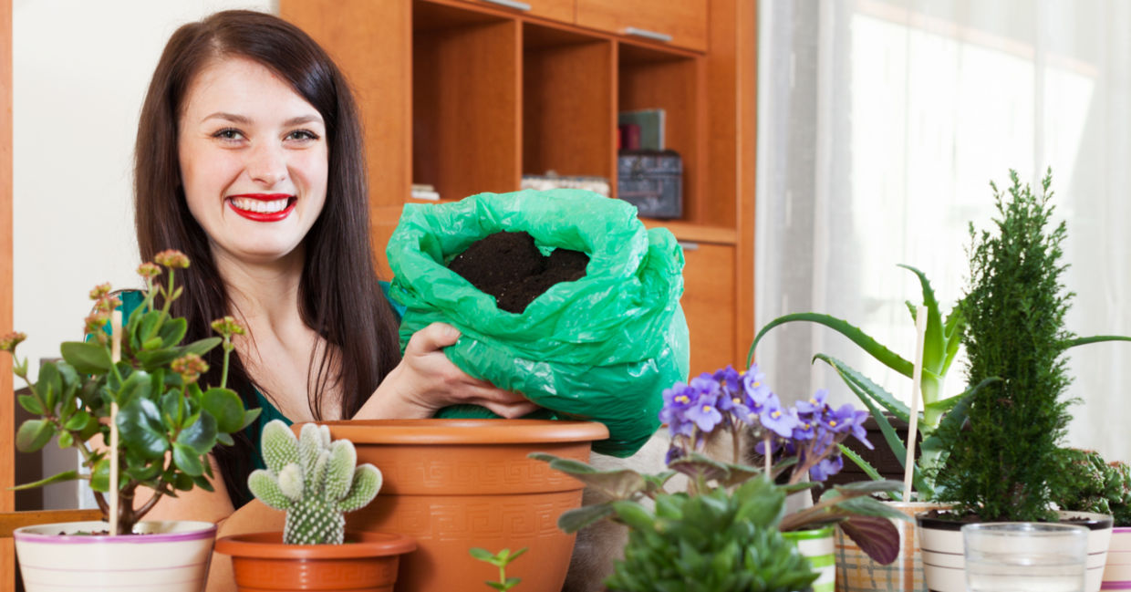 Indoor gardening Indoor gardening