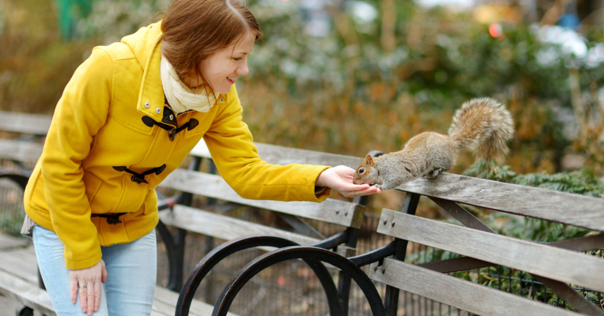 Woman feeding a squirrel in New York Woman feeding a squirrel in New York
