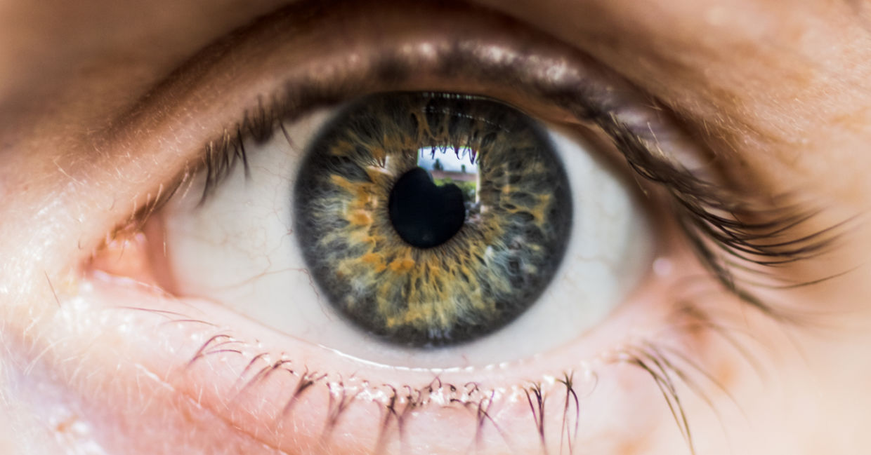 Repairing vision with just one eye injection. Repairing vision with just one eye injection.