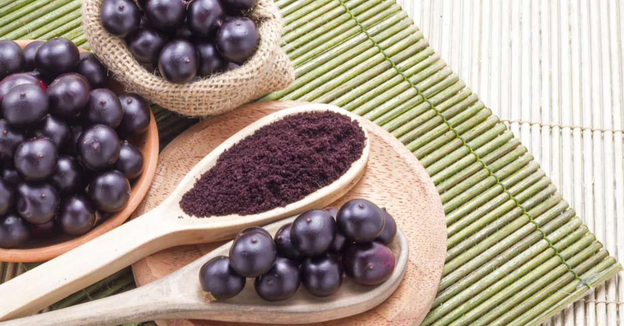 Acai berries come from the Amazon rainforest. Acai berries come from the Amazon rainforest.