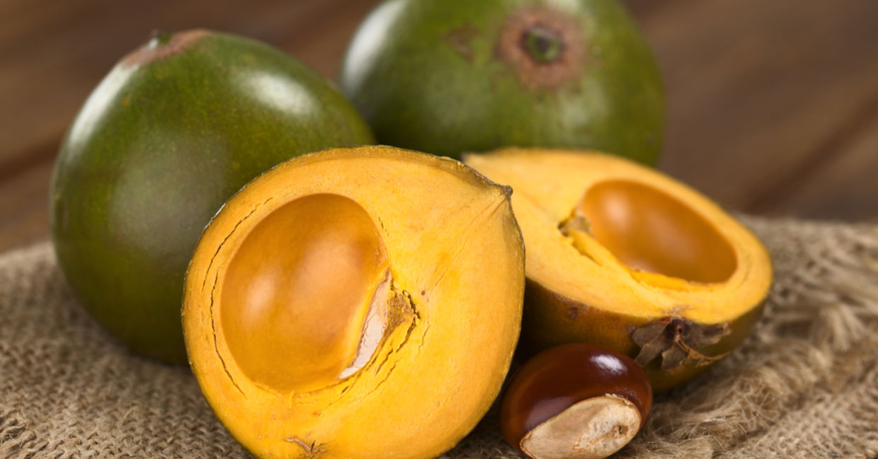 Lucuma is a highly nutritious superfood. Lucuma is a highly nutritious superfood.