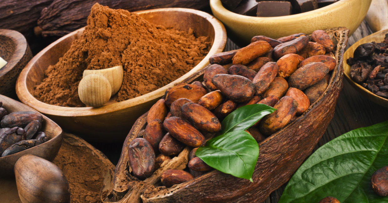 Cacao beans are made into chocolate. Cacao beans are made into chocolate.
