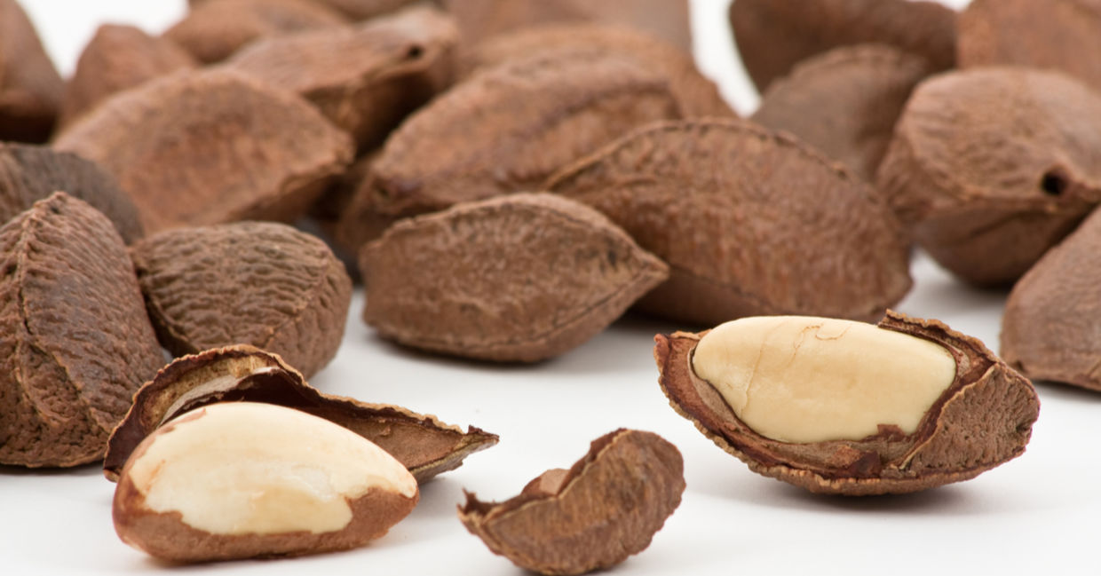 Brazil nuts are superfoods. Brazil nuts are superfoods.