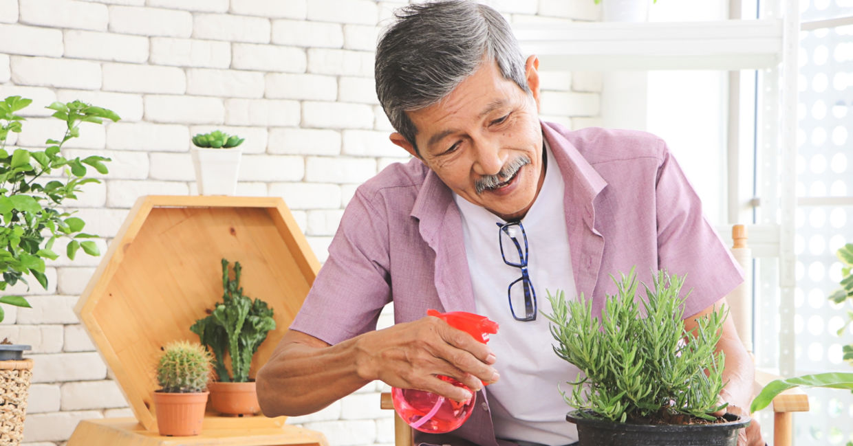 Water your indoor plants more frequently. Water your indoor plants more frequently.