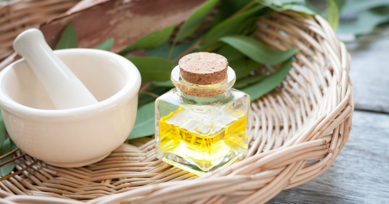 Use eucalyptus oil to heal the throat chakra. Use eucalyptus oil to heal the throat chakra.