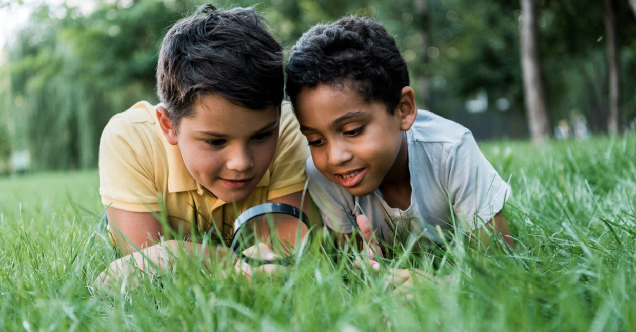 Boys looking at grass with magnifying glass. Boys looking at grass with magnifying glass.