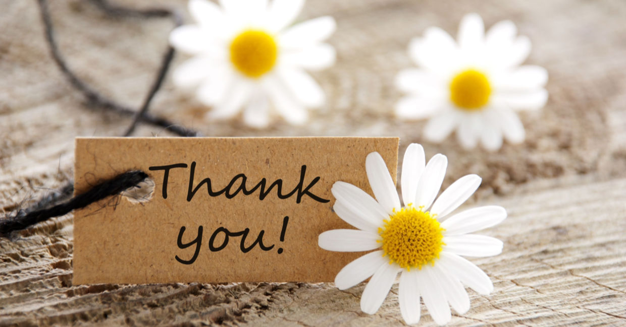 Say thank you. Say thank you.