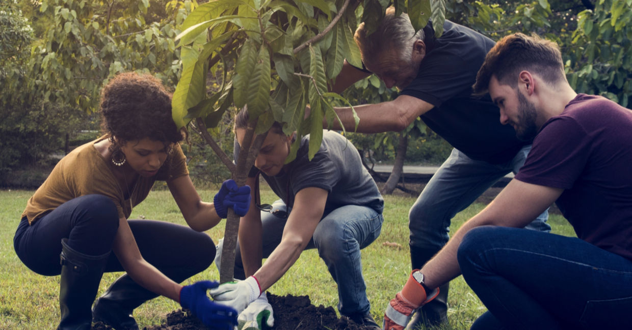 Planting trees by using Ecosia. Planting trees by using Ecosia.