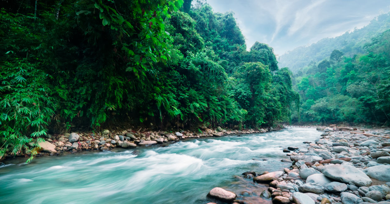 A running river. A running river.