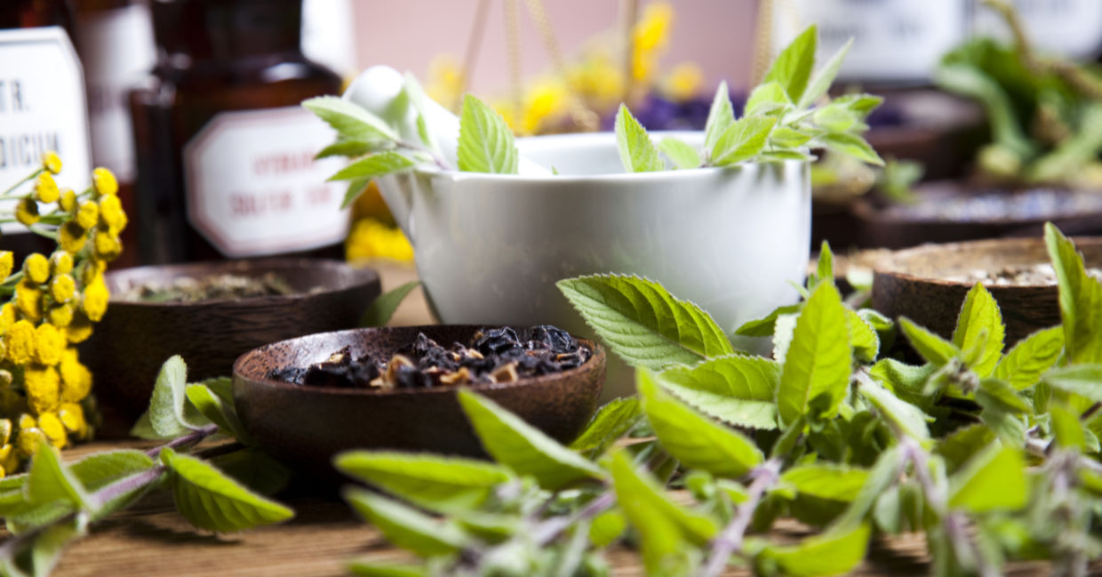 Medicinal herbs have healing properties. Medicinal herbs have healing properties.