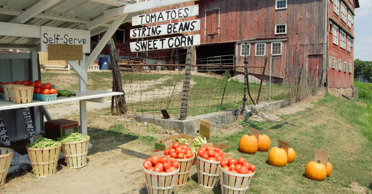 A local farm stand. A local farm stand.