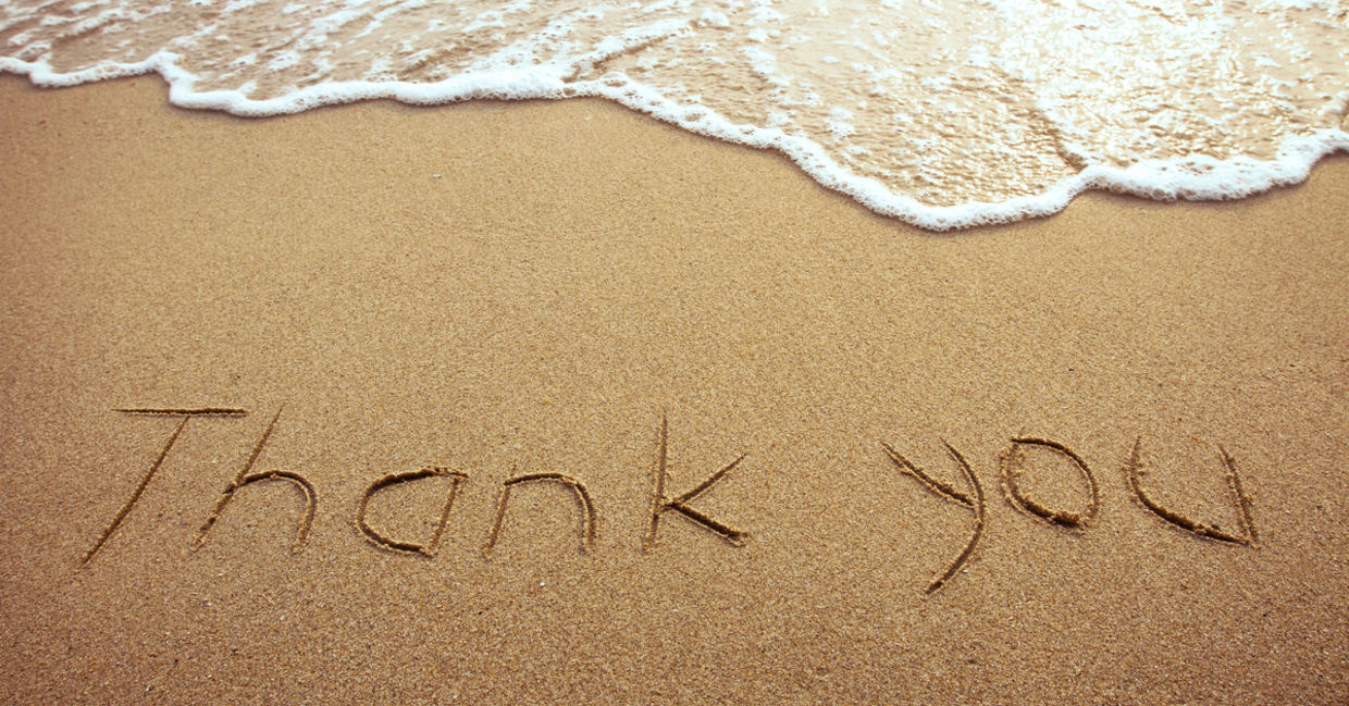 Say thank you. Say thank you.