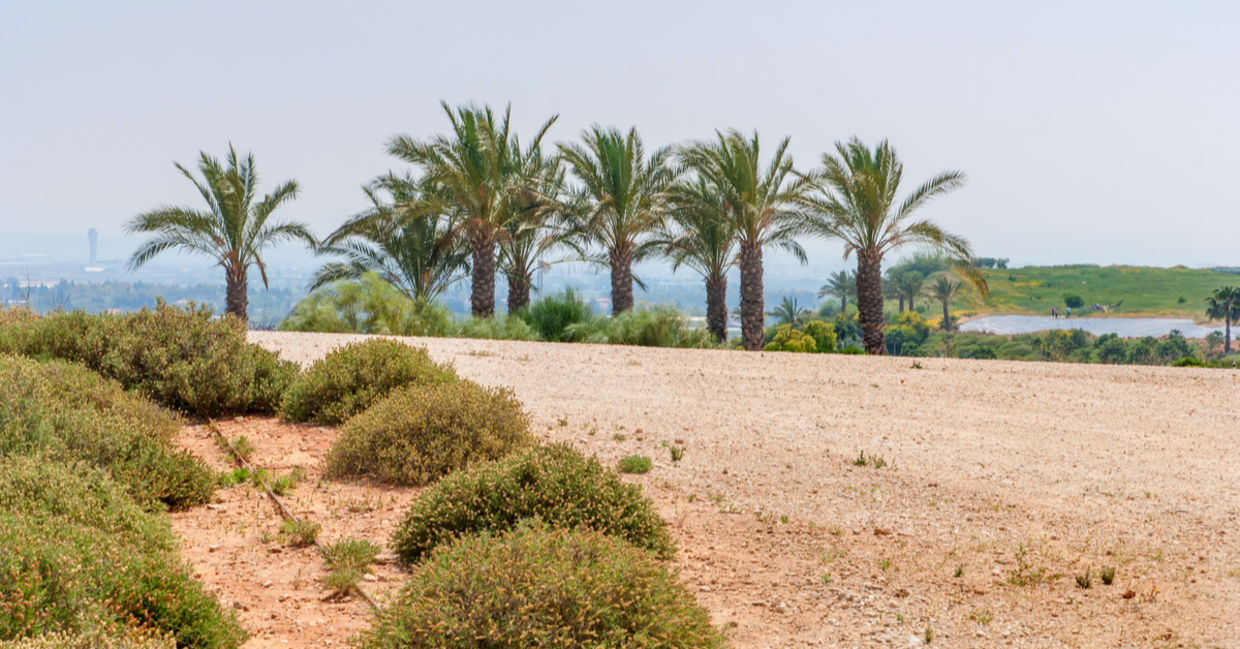 Hiriya park in Israel was a landfill. Hiriya park in Israel was a landfill.