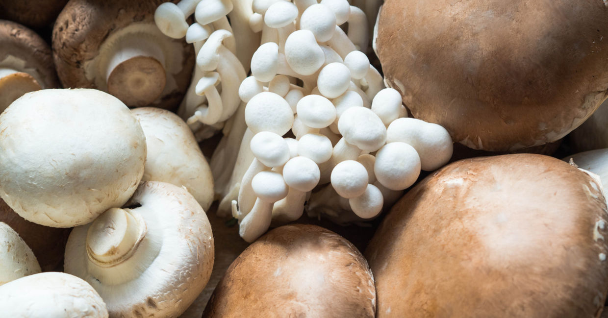 All of these mushroom varieties have health benefits. All of these mushroom varieties have health benefits.