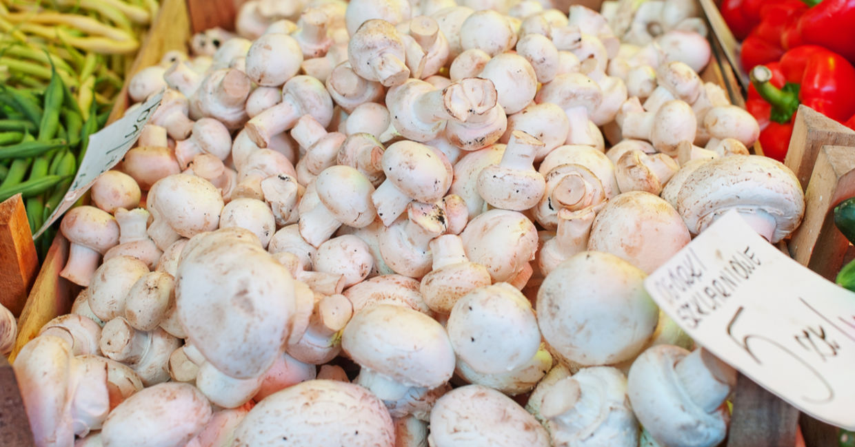 Buy healthy mushrooms at your grocer. Buy healthy mushrooms at your grocer.
