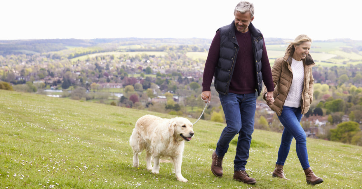 A couple walking their dog. A couple walking their dog.