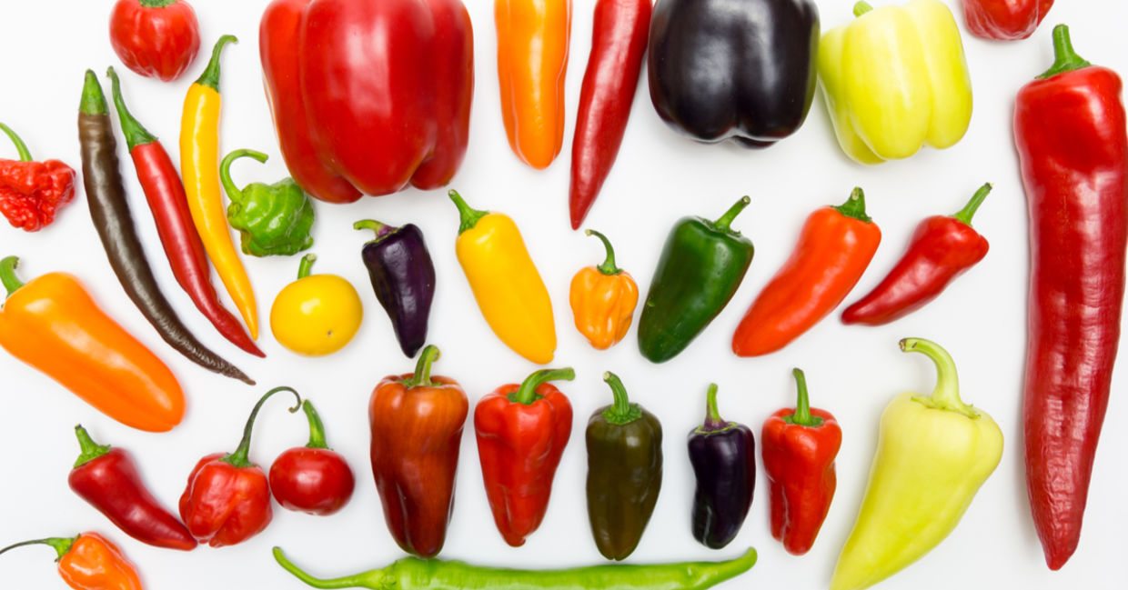 Types of peppers. Types of peppers.