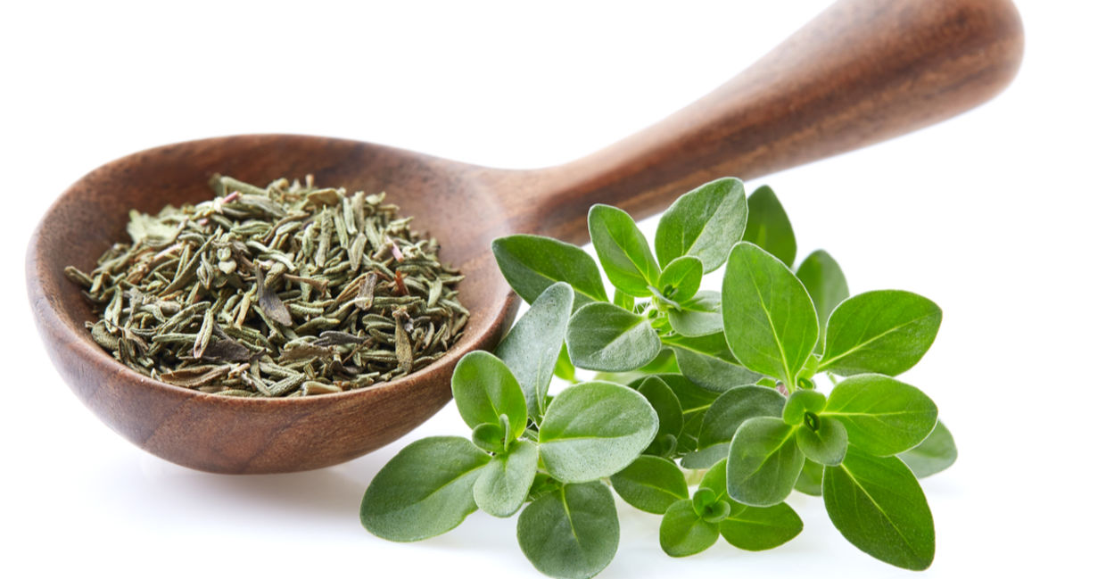 Sprigs of fresh thyme beside dried thyme. Sprigs of fresh thyme beside dried thyme.