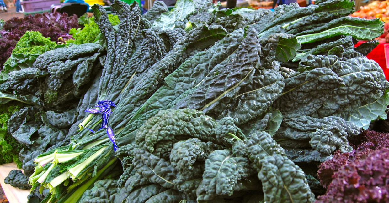 Farmer’s market table piled high with fresh bundles of kale. Farmer’s market table piled high with fresh bundles of kale.