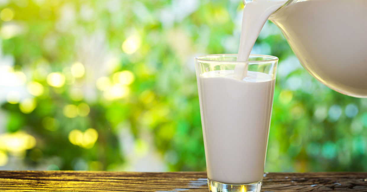 Milk is refreshing on a hot day. Milk is refreshing on a hot day.