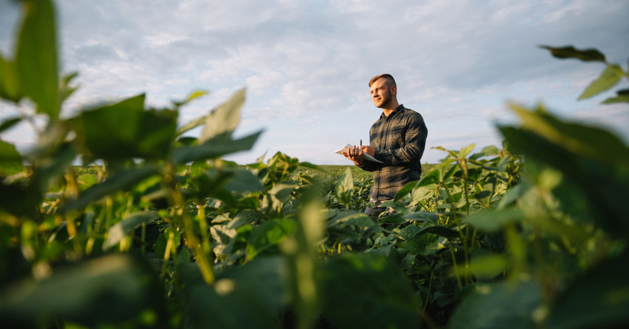 Modern farming. Modern farming.