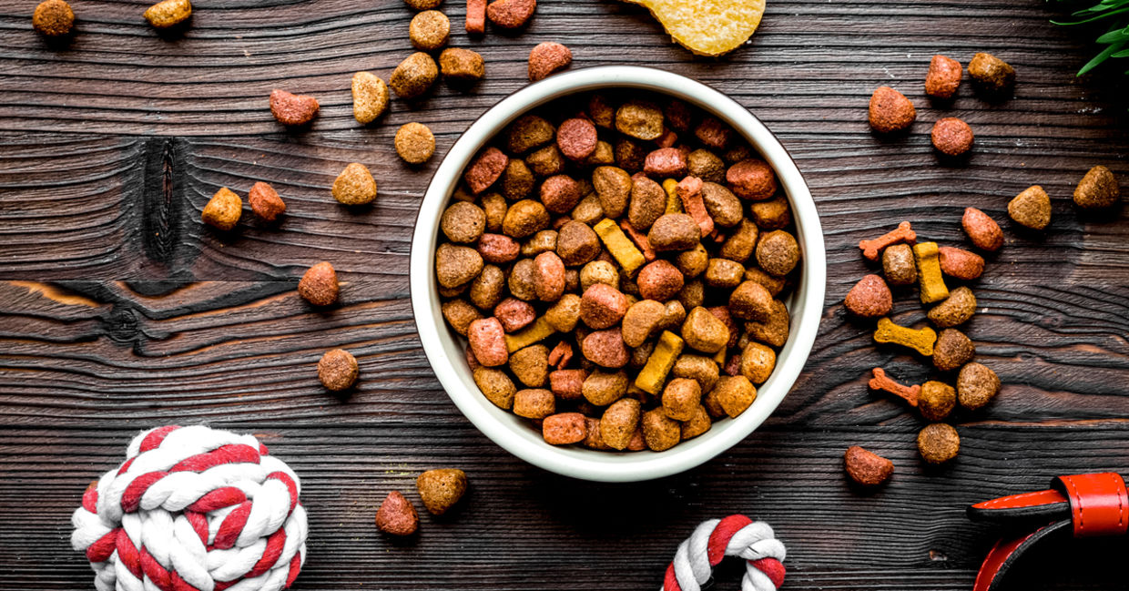 Dog food. Dog food.