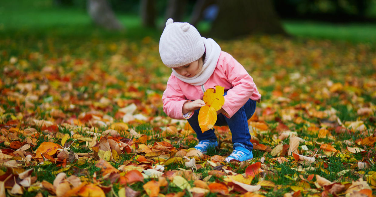 Child playing in fall leaves. Child playing in fall leaves.