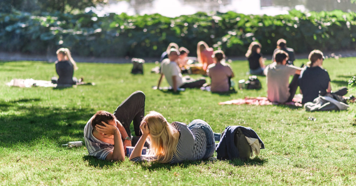 Good friends in a park. Good friends in a park.
