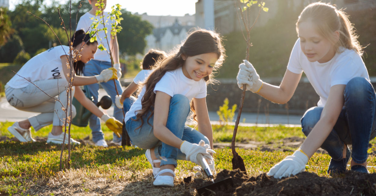 Volunteer teens planting trees. Volunteer teens planting trees.