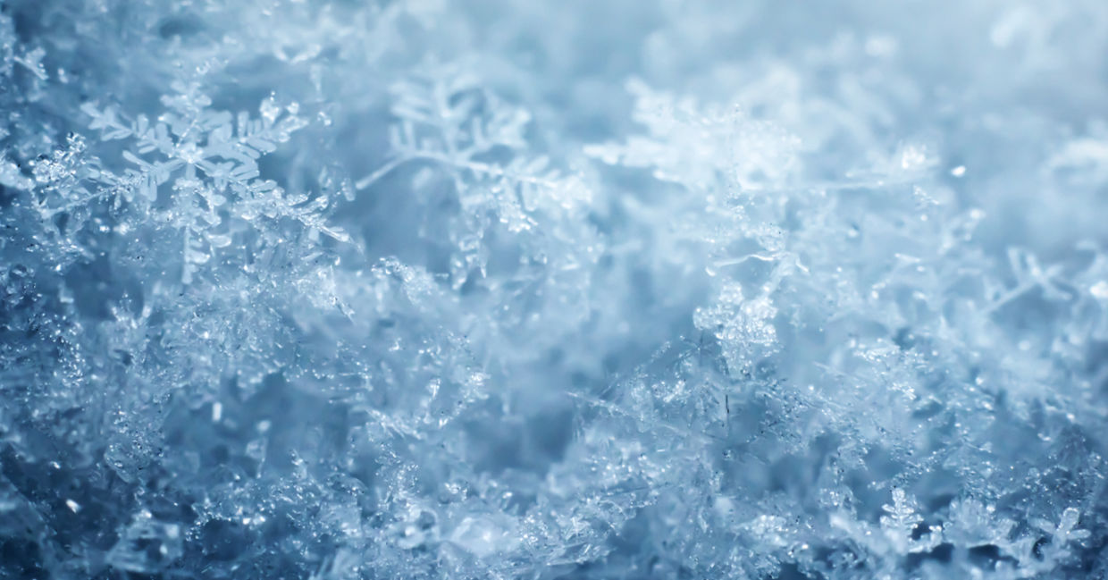 Snowflakes come in many sizes. Snowflakes come in many sizes.