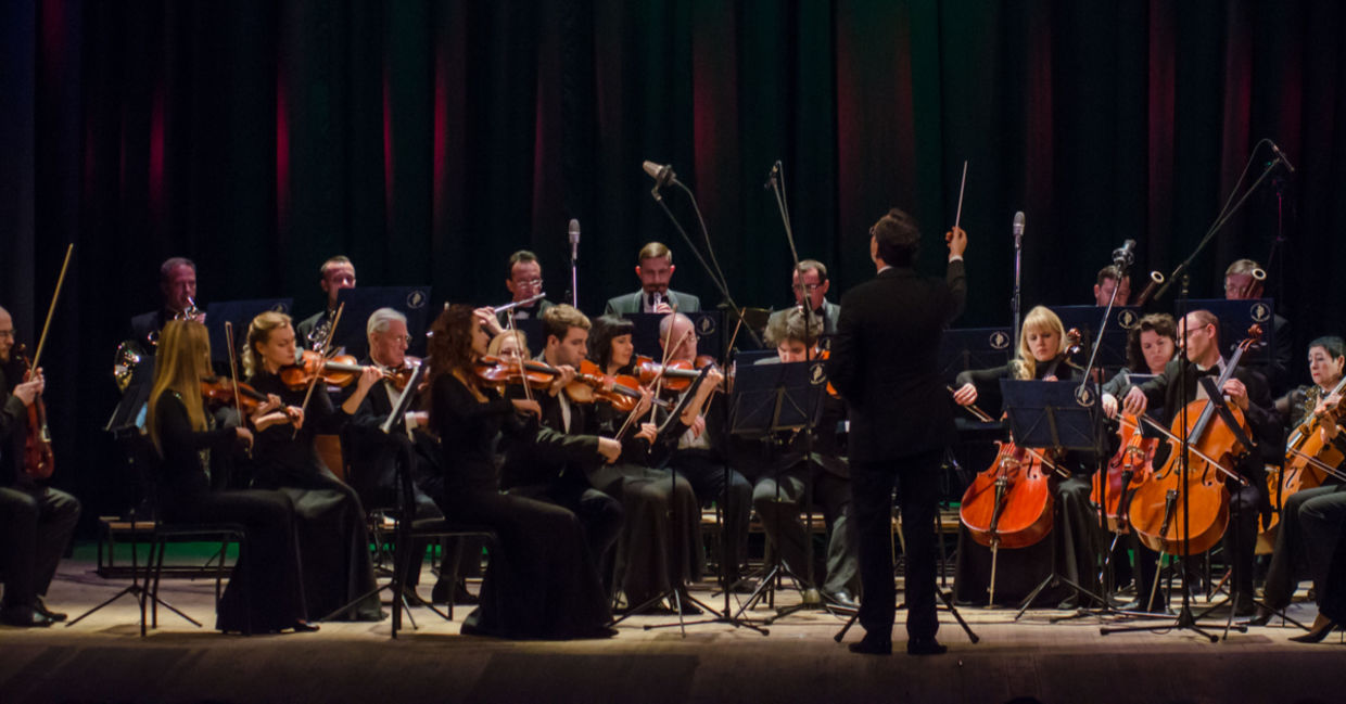 Symphony Orchestra. Symphony Orchestra.