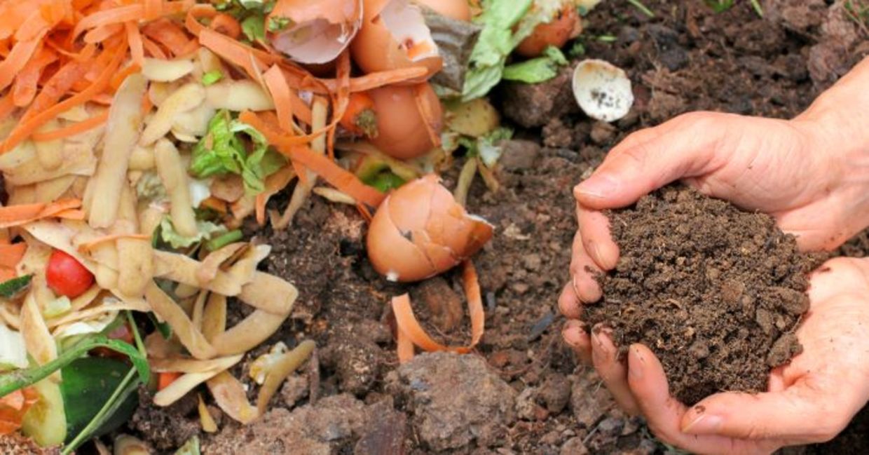 Composting is good for the environment. Composting is good for the environment.