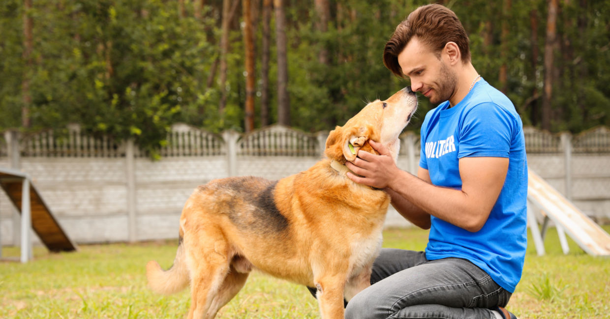 Volunteer at an animal rescue. Volunteer at an animal rescue.