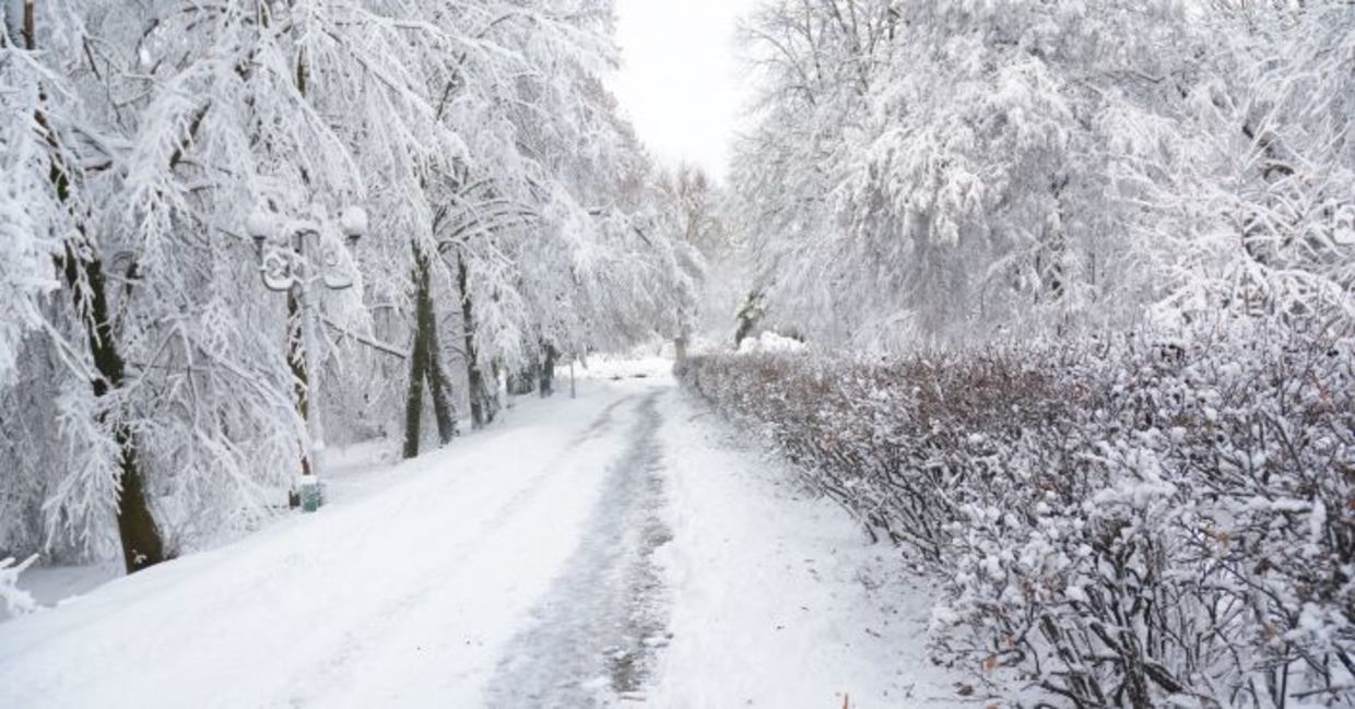 Snowy road in the winter. Snowy road in the winter.