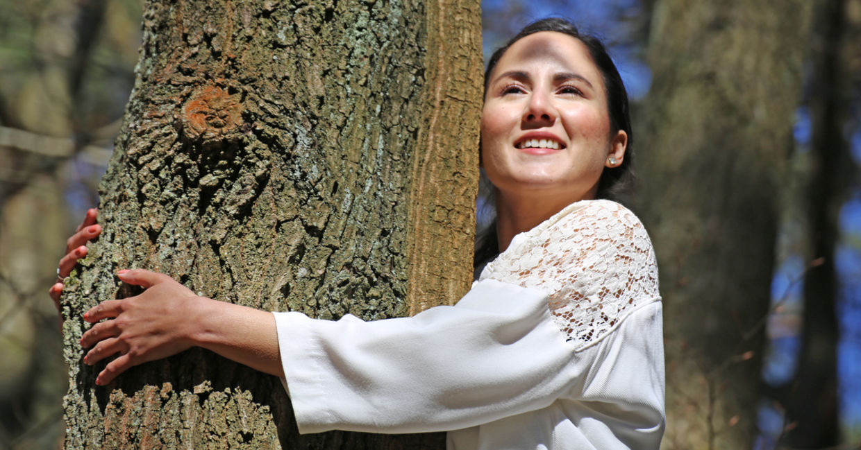 Forest bathing in Japan. Forest bathing in Japan.
