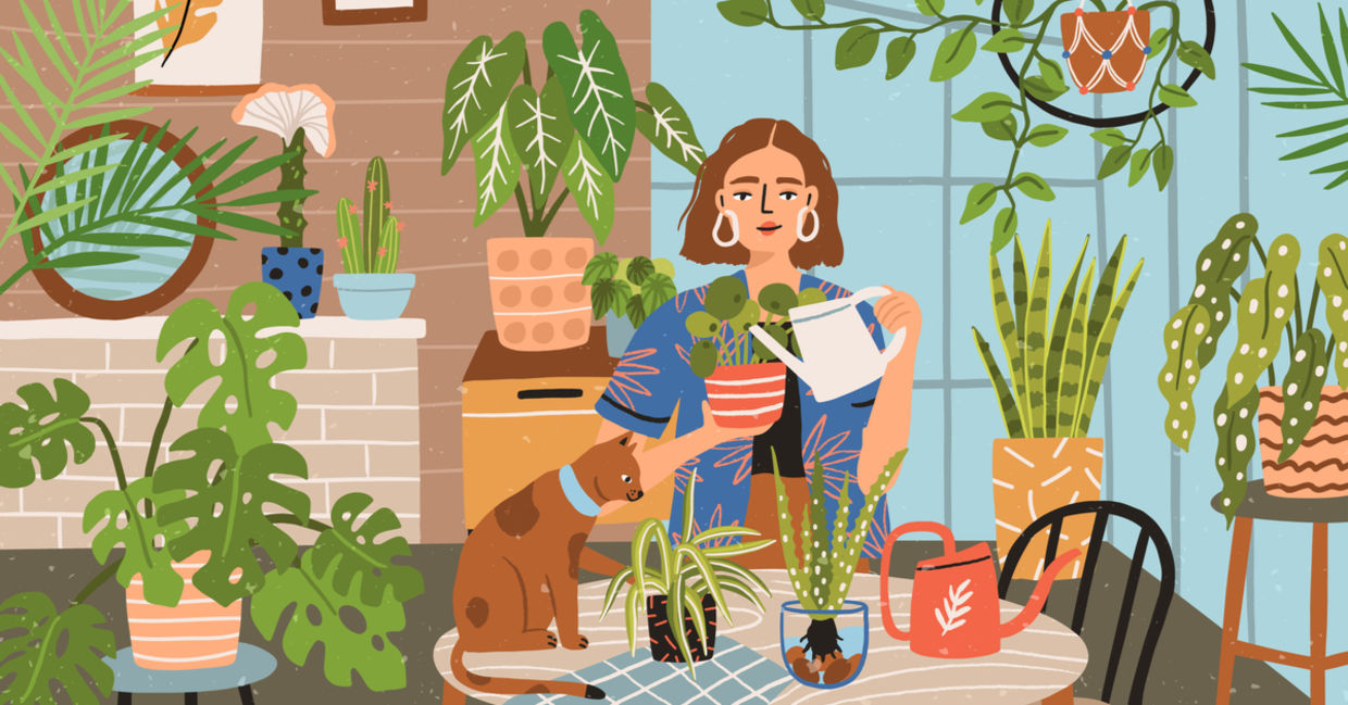 Taking care of houseplants by giving them names. Taking care of houseplants by giving them names.