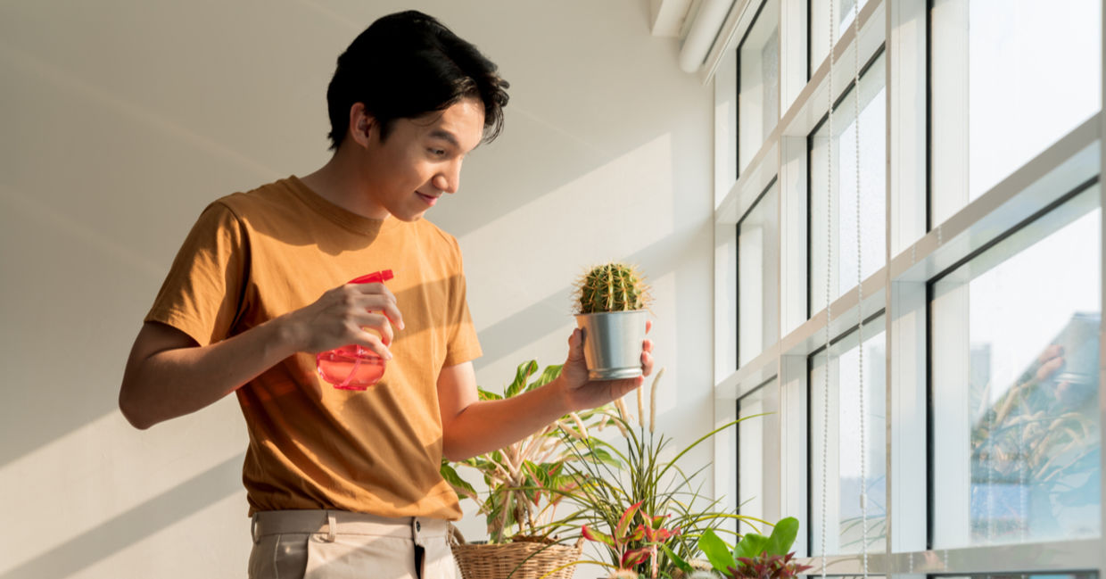 Be creative when you name your plant baby. Be creative when you name your plant baby.