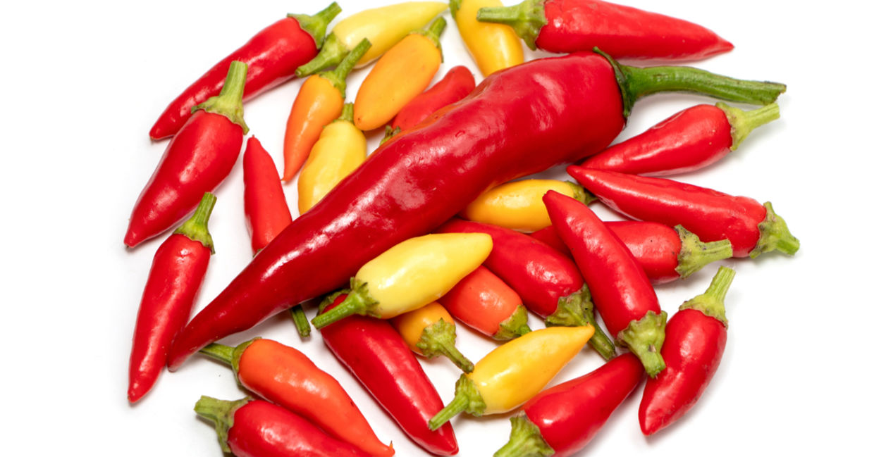Various colored hot peppers. Various colored hot peppers.