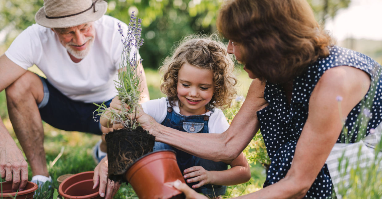 Planting a garden. Planting a garden.